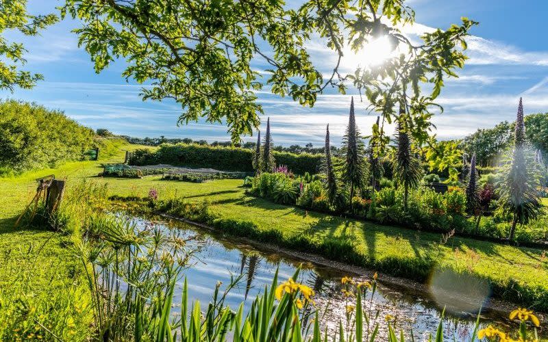 best open gardens to visit this weekend uk 2022 family day trip out - NGS