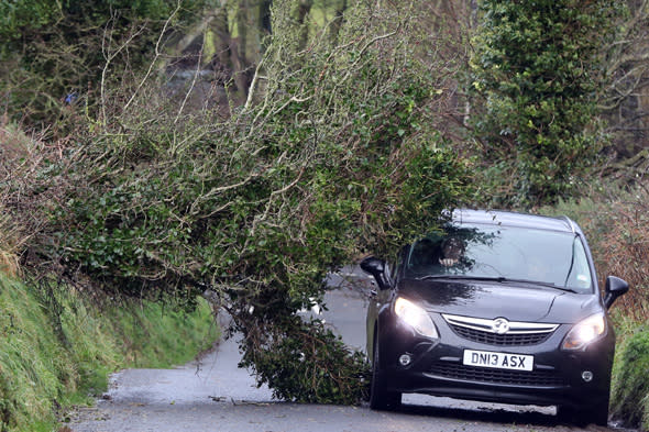 A motorist navigates past a fallen tree in north Antrim as power companies have been condemned for failing to restore supplies to thousands of households as the UK suffered a second major storm over the Christmas holiday.