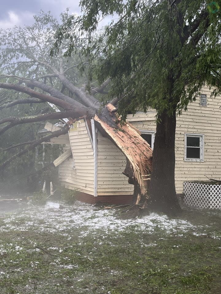 A tree fell on a house on Lige Street in Rock Hill.