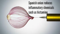 <i>By Ryan Thompson</i> With intense training and competition comes joint pain, muscle strains and general wear and tear. But before you jab a needle into your kneecap, try using your diet to dose up on post-sport painkillers instead Red onion One onion provides 10mg of quercetin, a flavonoid that reduces inflammatory chemicals such as histamine. You’re safe with up to 500mg, but we don’t suggest you get it all from red onions – unless you like being a social pariah. Try tea, red wine, broccoli and apples.