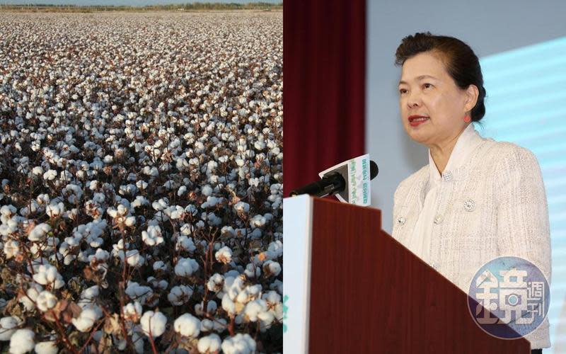 多個國際品牌因拒用新疆棉遭中國網友抵制，王美花表示，台灣會參考聯合國的做法。（東方IC／本刊資料照）