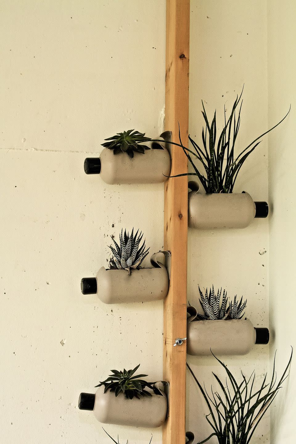 Plastic Bottle Vertical Planter