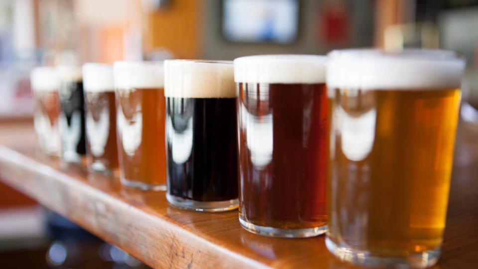 Row of different beers in glasses on a wooden bar