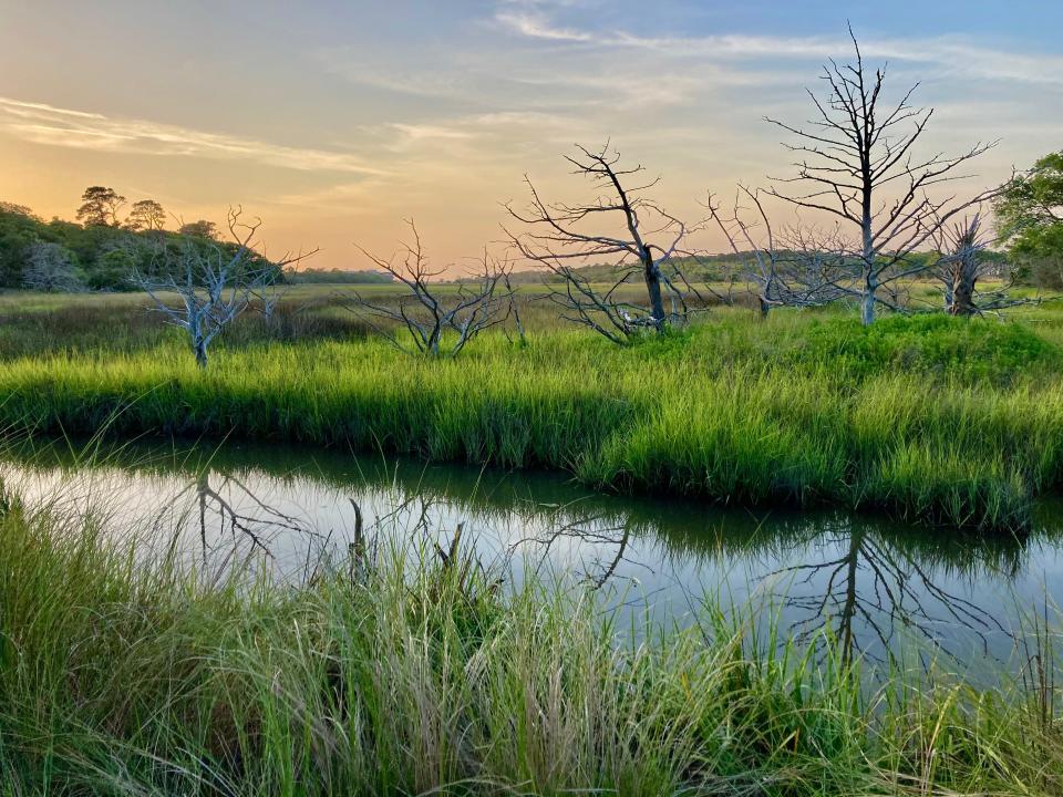 The walking path to Driftwood Beach