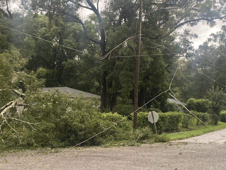 A tree takes out power lines on Southwest 59th Terrace in Archer.