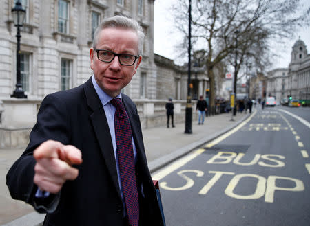 MICHAEL GOVE, 51: Gove, one of the highest-profile Brexit campaigners during the 2016 referendum, has had to rebuild his cabinet career after falling early to May in the contest to replace Cameron, who resigned the day after losing the referendum. Seen as one of the most effective members of cabinet in bringing forward new policies, the high-energy environment minister has become a surprise ally to May and has backed her Brexit strategy. Gove teamed up with Johnson during the 2016 Brexit campaign only to pull his support for Johnson's subsequent leadership bid at the last moment and run himself. He has not yet said whether he plans to run. REUTERS/Henry Nicholls