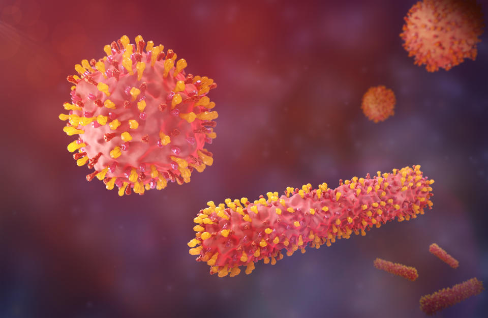 Respiratory syncytial virus (RSV) particles, 3d illustration. RSV causes respiratory infections. RSV is a common respiratory virus that usually causes a mild illness with cold-like symptoms. (Getty)
