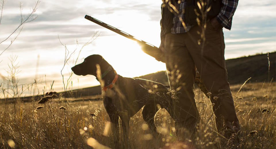 The man’s dog shot him when he left his rifle in the back of his car. Source: Getty, file.