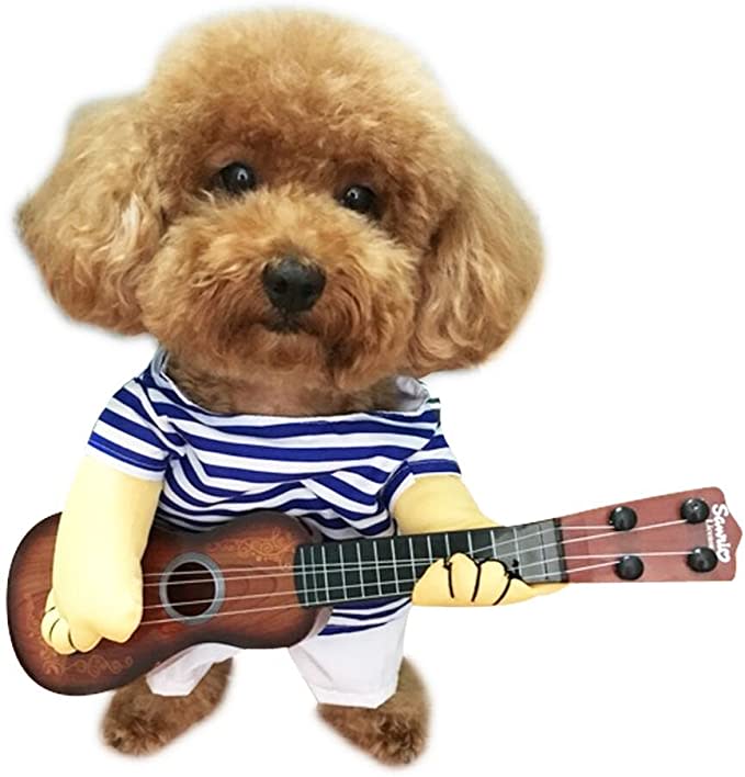 dog costume with guitar, Halloween costume for dogs