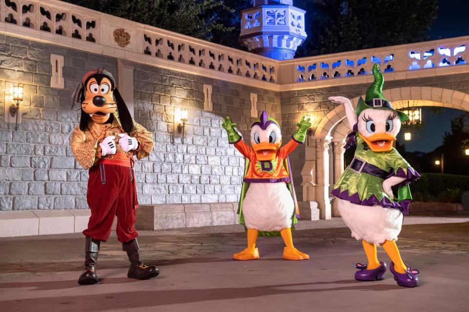 Goofy, Donald and Daisy Duck in halloween costume at Disney World