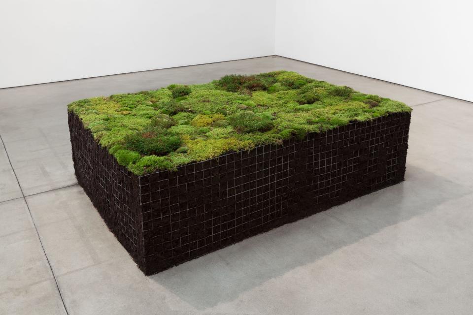 Meg Webster, Volume for Lying Flat, 2016, peat moss, green moss, soil, galvanized steel wire mesh, 22 x 59 x 81 1/2 in. (55.9 x 149.9 x 207 cm)