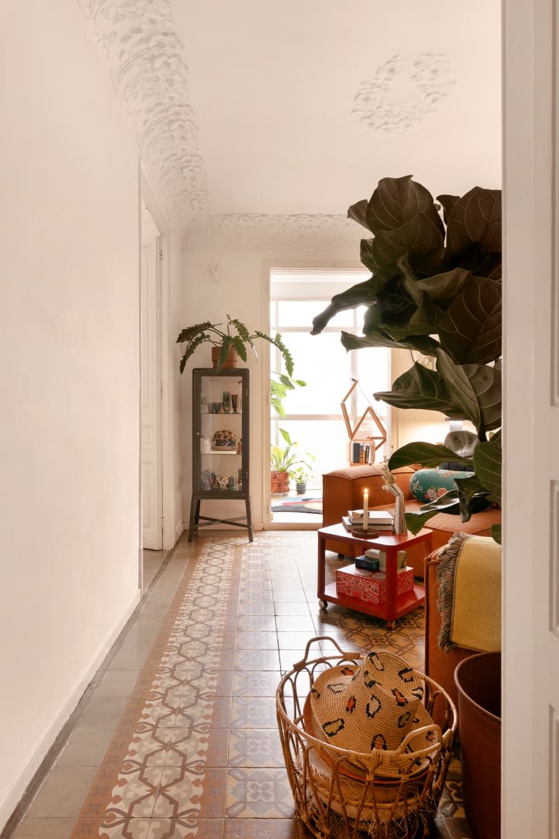 Plant sits atop glass case in white room with decorative trim and ceiling.