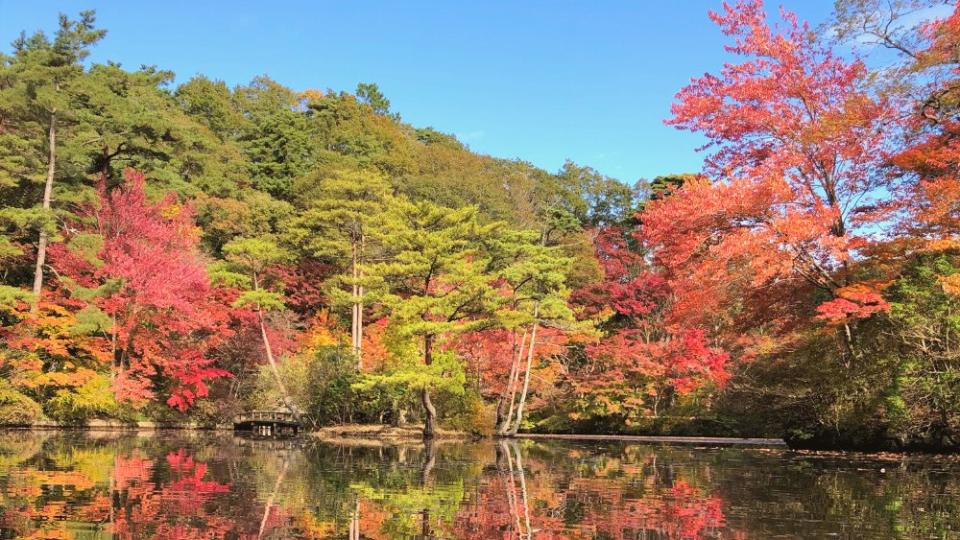 神戸市立森林植物園
相片來源：feelkobe_jp