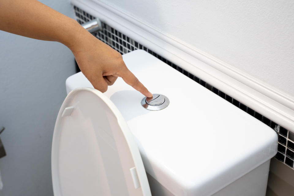 Person's hand pressing a toilet flush button