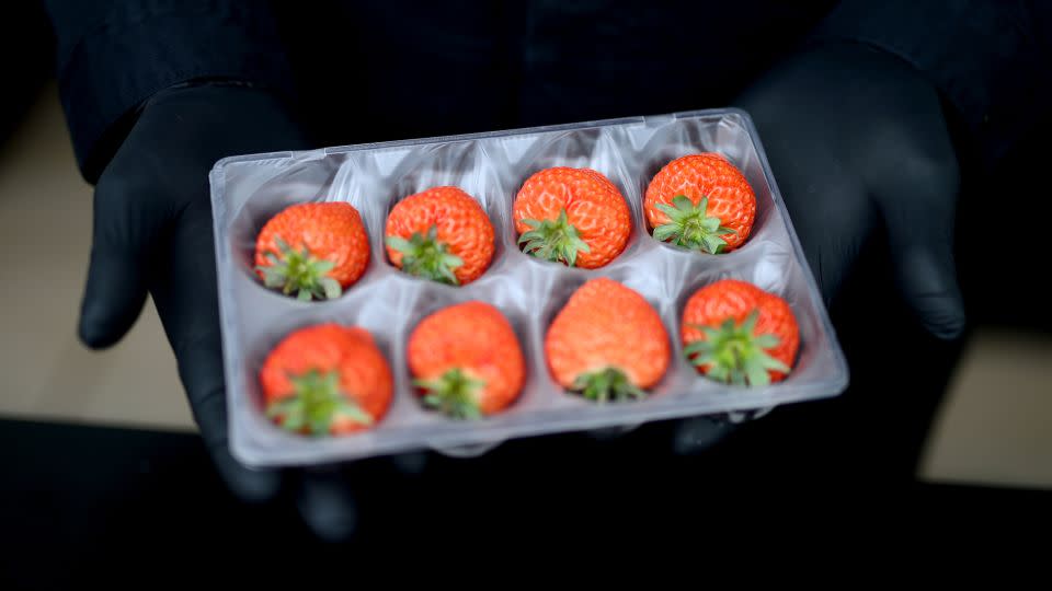 Oishii strawberries on display in 2022 in Beverly Hills, California. - Jerod Harris/Getty Images for Vox Media