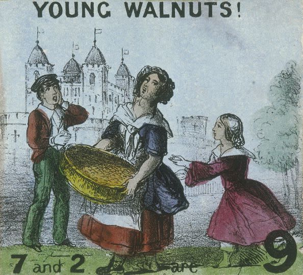 Young Walnuts, 1840