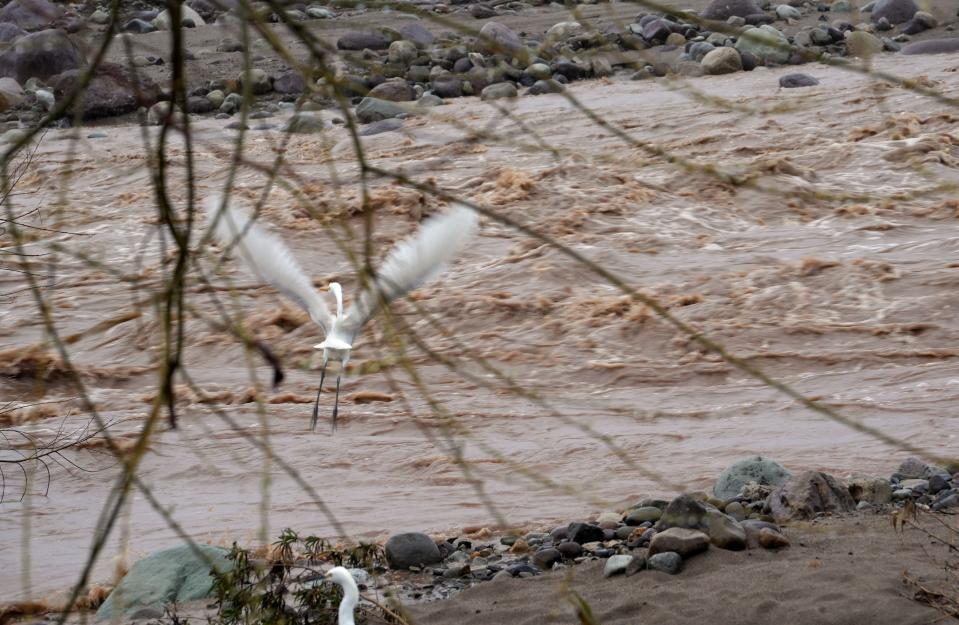 A bird flies in and out of water rushing down from Sespe Creek at the Old Telegraph Road bridge in Fillmore on Monday. More heavy rain was expected late Tuesday night through early Wednesday, forecasters said.