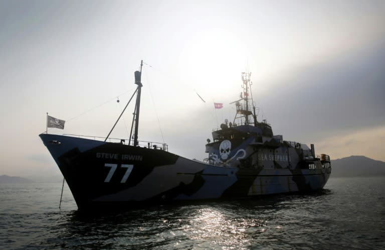 Sea Shepherd's flagship Steve Irwin has departed for Antarctic waters along with a fast new patrol vessel