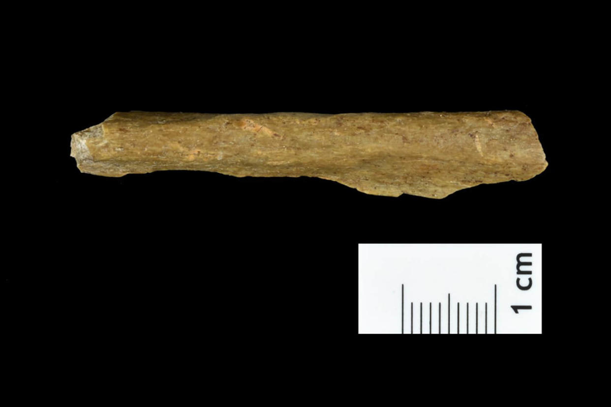 science ranis cave excavation (Tim Schüler via Springer Nature)