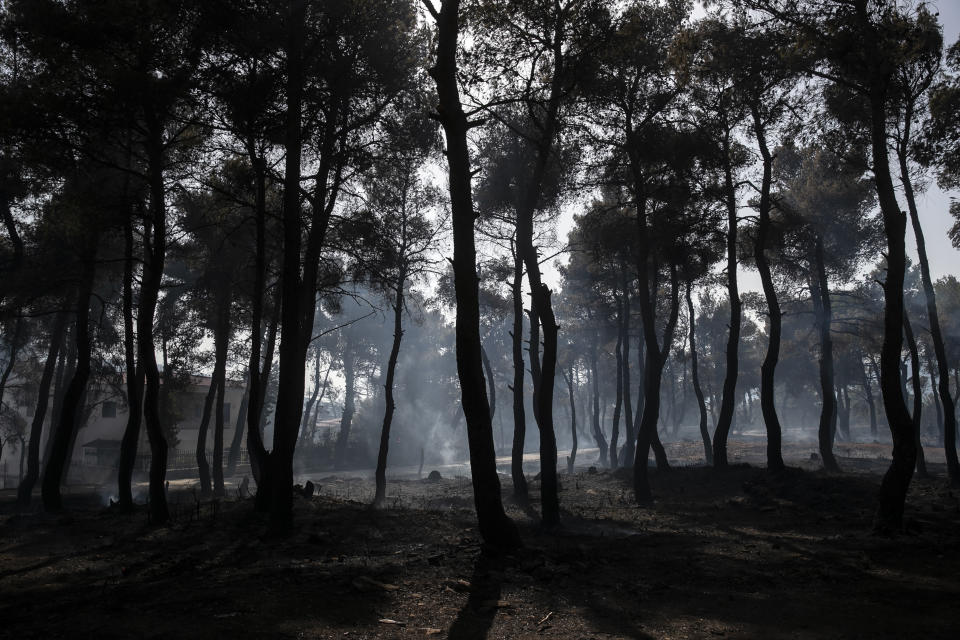 Burnt trees are silhouetted following a forest fire at Dionysos northern suburb of Athens, on Tuesday, July 27, 2021. Greek authorities have evacuated several areas north of Athens as a wildfire swept through a hillside forest and threatened homes despite a large operation mounted by firefighters. (AP Photo/Yorgos Karahalis)