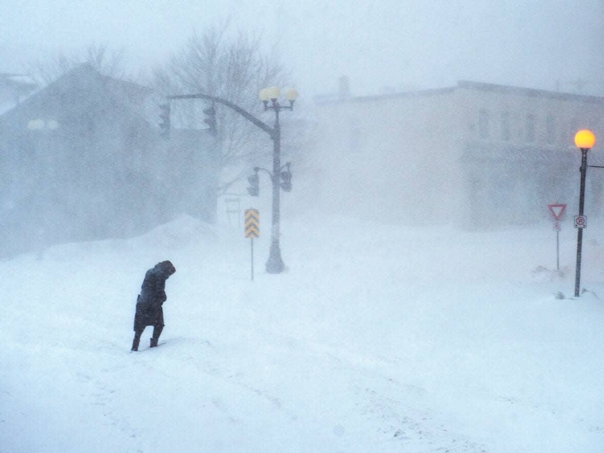 Snow and high winds made for a messy Sunday morning on the Avalon Peninsula. (Andrew Vaughan/The Canadian Press - image credit)