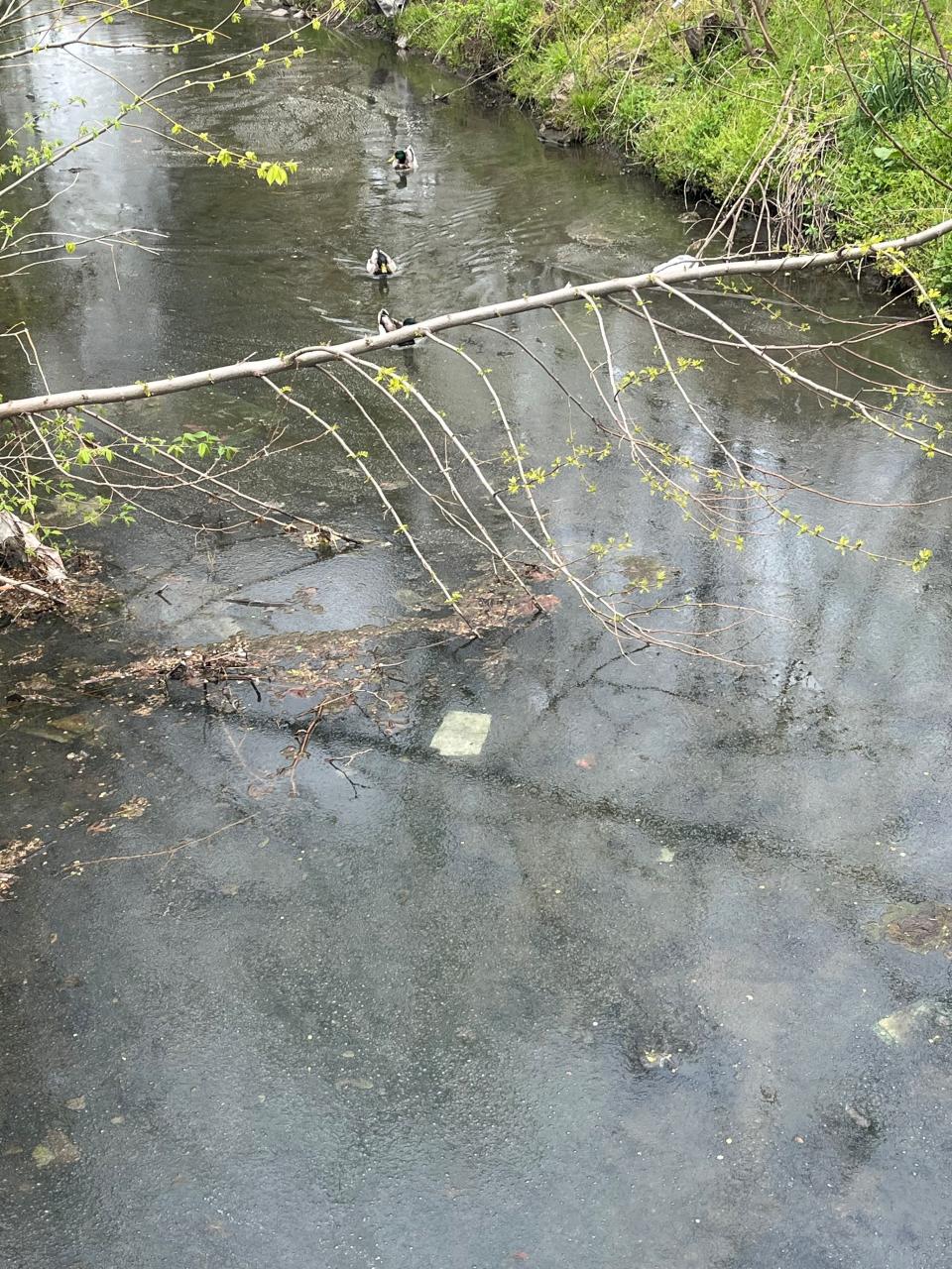 The Fleischer Brook near Price Rite on Outwater Lane in Garfield, NJ as seen April 17, 2024.