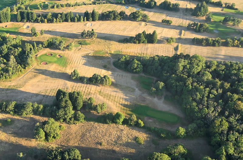 A parched golf course is seen from a balloon at the annual Bristol International Balloon Fiesta, near Bristol