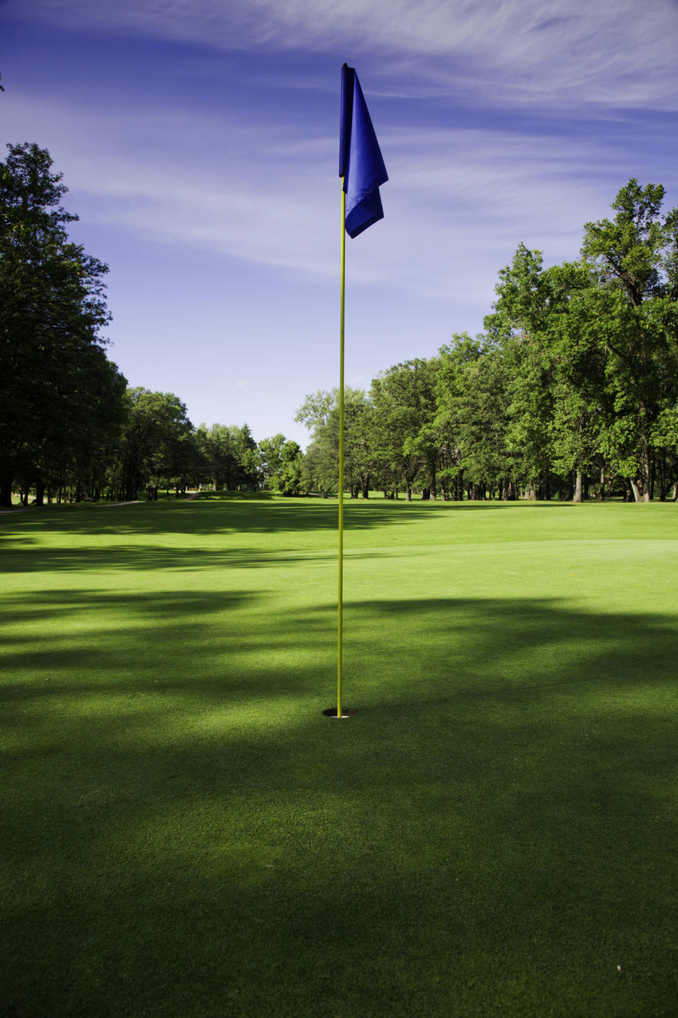 A golf course with a blue flag marking the hole, surrounded by green grass and trees under a partly cloudy sky