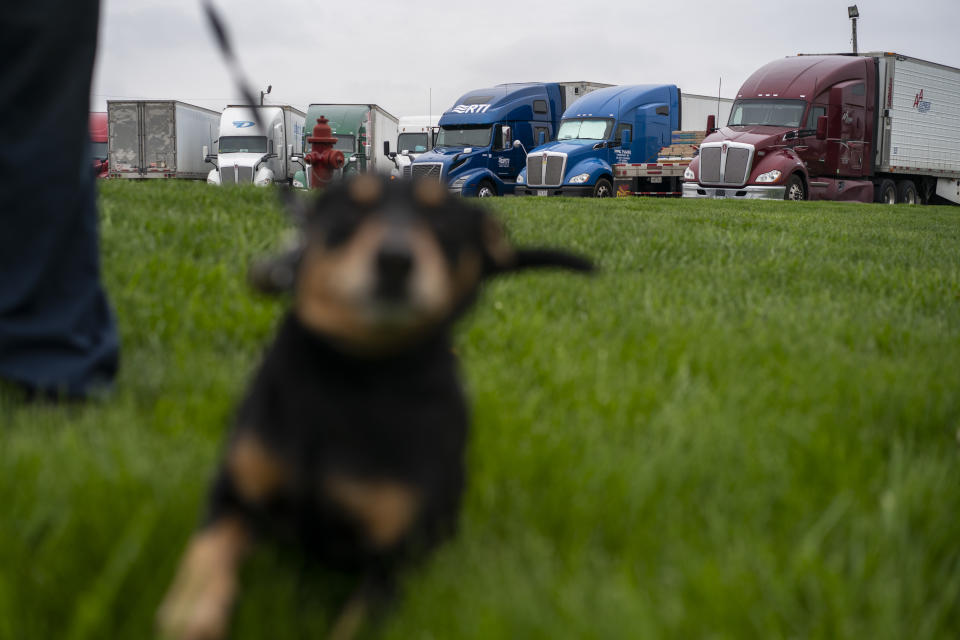 In this April 5, 2020, photo, Shorty zooms to the end of his leash held by trucker Ronnie Jackson, of Earlsboro, Okla., before they roll west from the TA TravelCenter truck stop in Foristell, Mo. During the coronavirus outbreak Jackson tries to protects himself and others by wearing a mask and social distancing. (AP Photo/Carolyn Kaster)