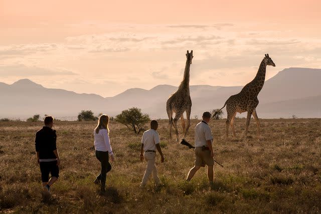 <p>Courtesy of Journeys With Purpose</p> A Journeys with Purpose visit to South Africa's Samara Karoo Reserve.