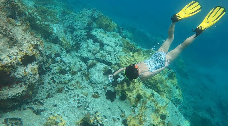 Marine scientist Deborah Brosnan does research dive on a coral reef in Antigua and Barbuda