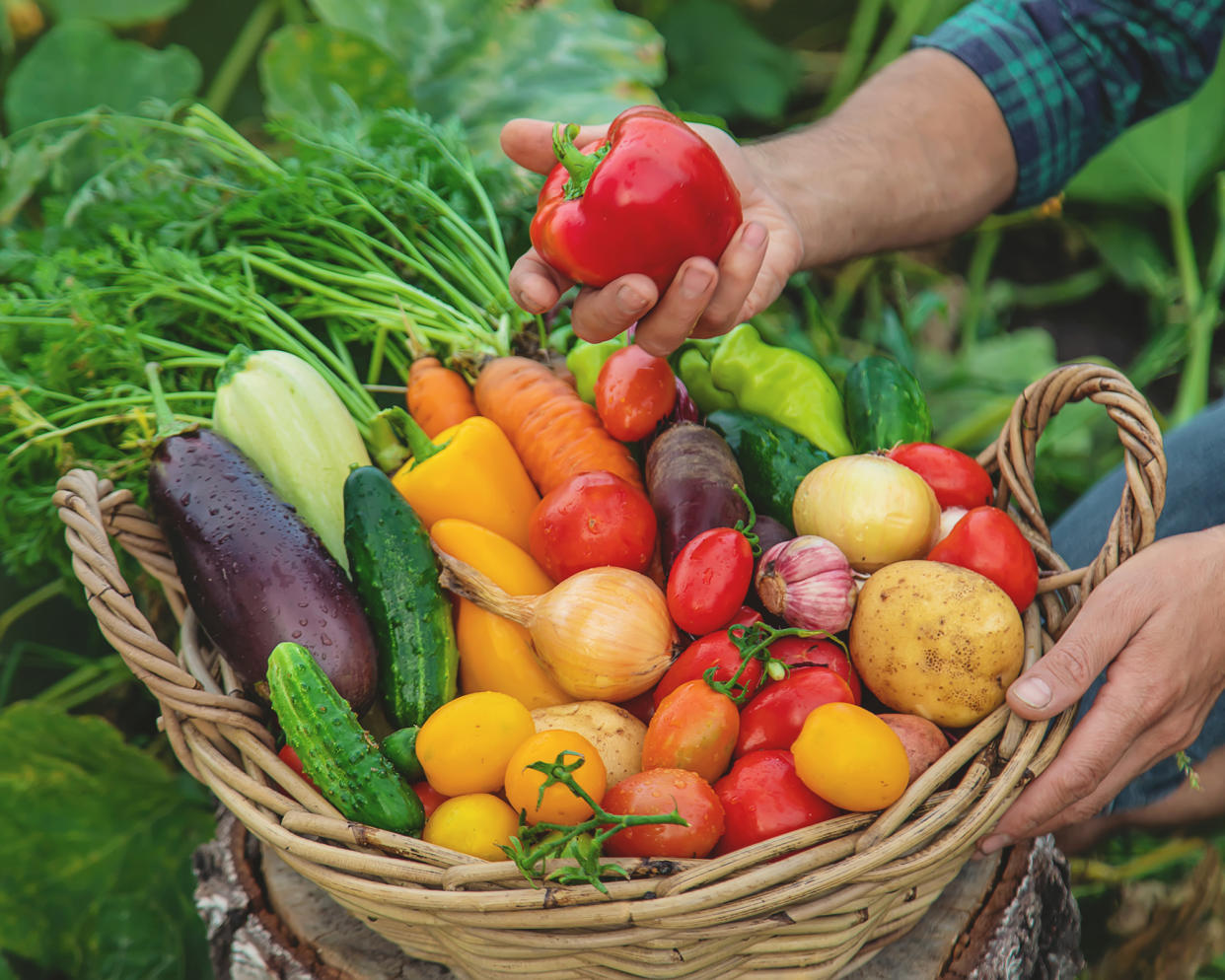  Basket filled with Italian vegetables. 