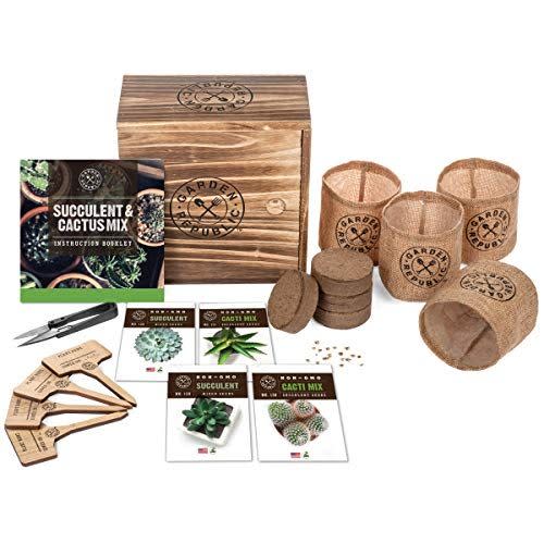 5) Cactus and Succulent Seed Starter Kit