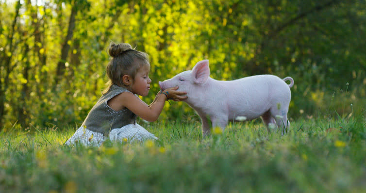 <span class="caption">Love animals, don’t eat them.</span> <span class="attribution"><span class="source">Shutterstock</span></span>