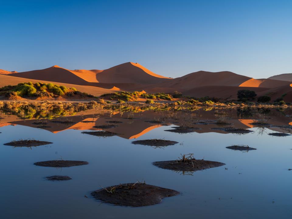 The Sossusvlei salt and clay pan in the Namib Desert in the Namib-Naukluft National Park of Namibia.