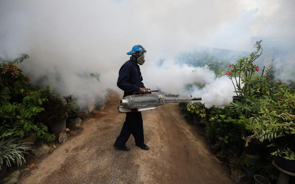 Fumigation is one of the few ways to combat dengue - Chamila Karunarathne/EPA-EFE