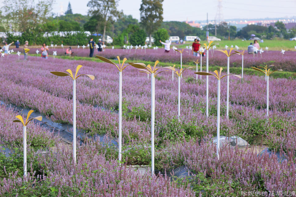 2022桃園仙草花節～仙茶之舞