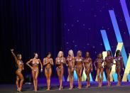 <p>The Arnold Classic</p>