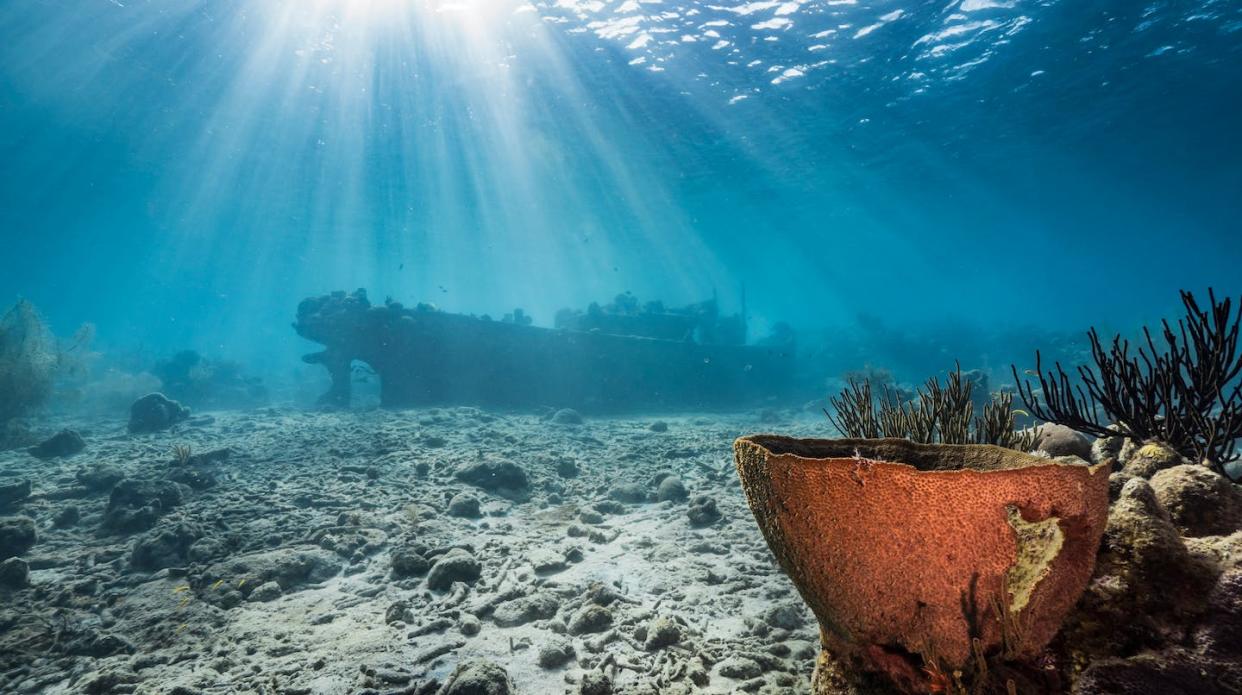 <a href="https://www.shutterstock.com/es/image-photo/ship-wreck-tugboat-shallow-water-coral-1755280727" rel="nofollow noopener" target="_blank" data-ylk="slk:Shutterstock;elm:context_link;itc:0;sec:content-canvas" class="link ">Shutterstock</a>