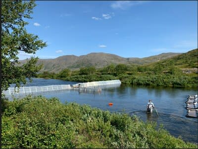 Fish are directed through the tunnel in the river