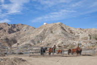 <p>California’s famous Joshua Tree National Park is only 30 minutes away and the Big Morongo Wildlife Preserve is even closer. (Airbnb) </p>