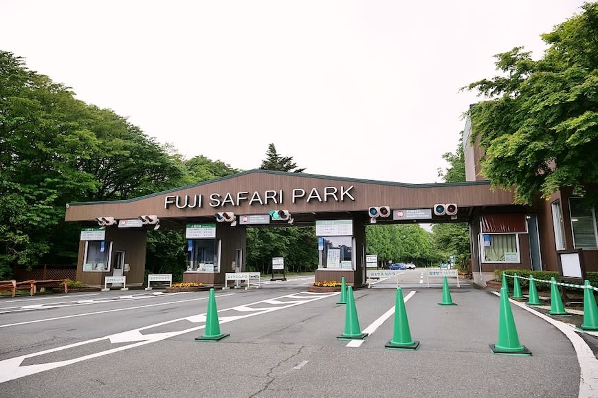 日本富士野生動物園Fuji Safari Park