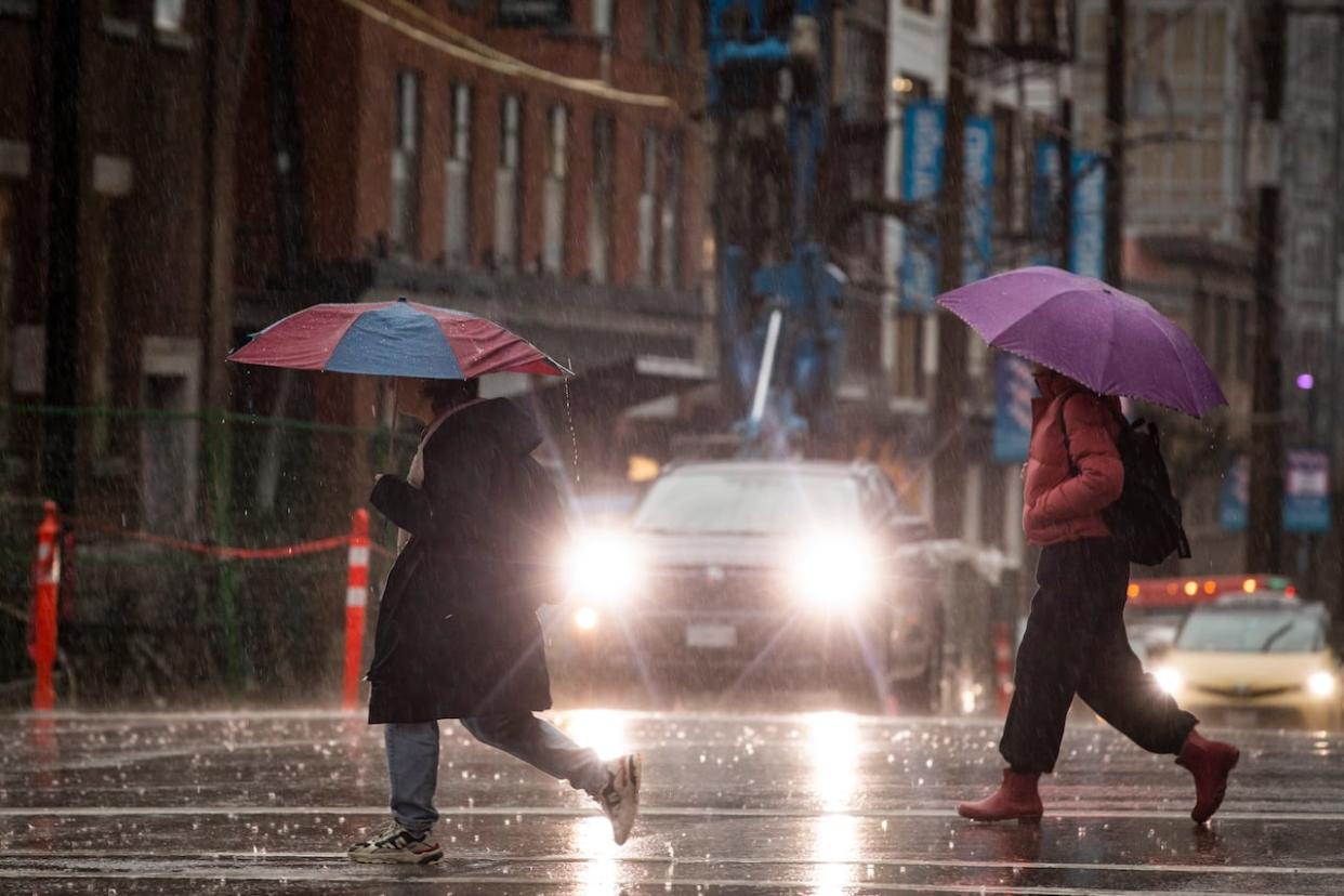 An atmospheric river is set to bring heavy rain to Vancouver Island and the Lower Mainland on Christmas Day, according to authorities. (Ben Nelms/CBC - image credit)