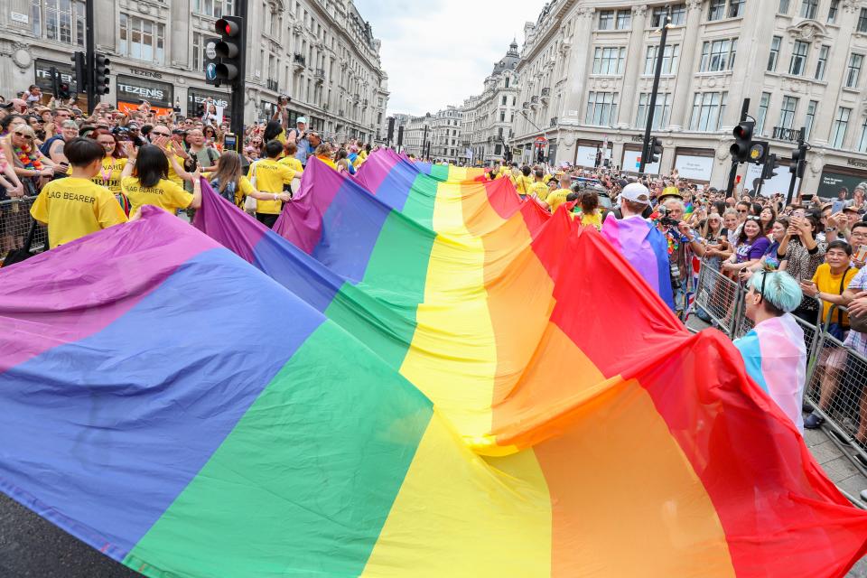 For over 40 years, the Rainbow Pride Flag has represented the LGBTQ community and is one of the most well-known pride flags.