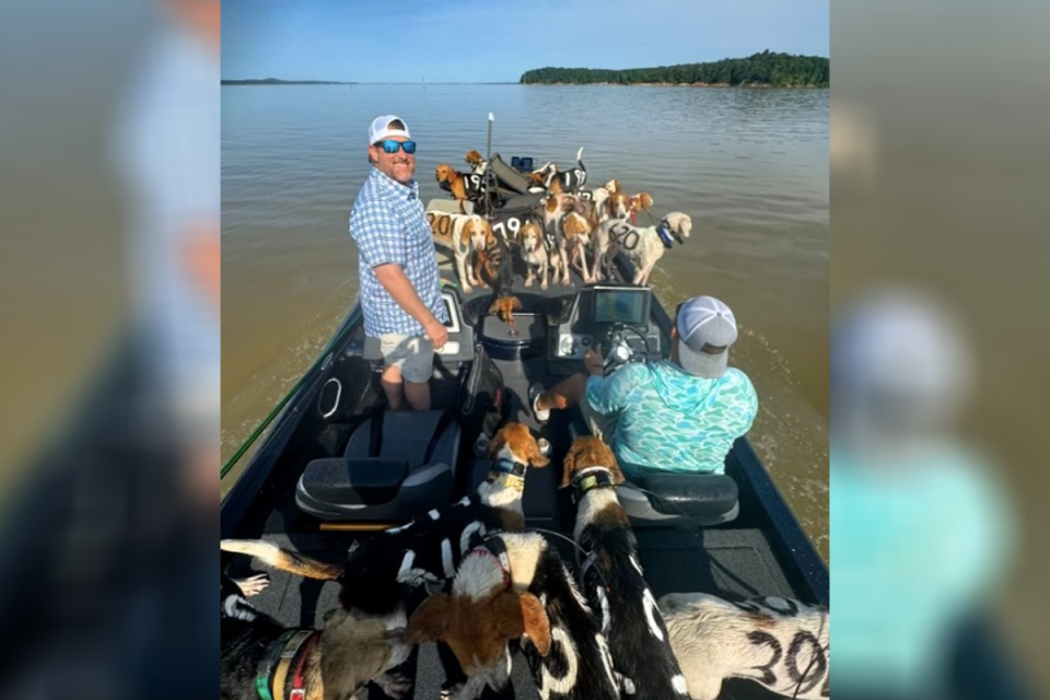 The three men grabbed the exhausted dogs by their collars and dragged them into their boat (Bob Gist)