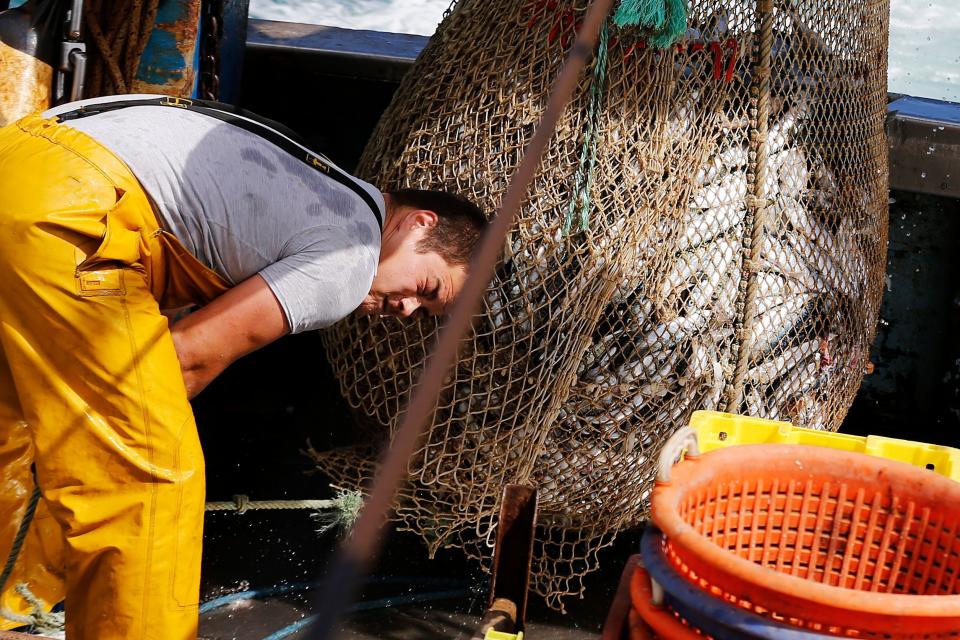 Nearly 90 percent of the world&rsquo;s marine fish stocks are now fully exploited, overexploited or depleted. (Photo: CHARLY TRIBALLEAU via Getty Images)