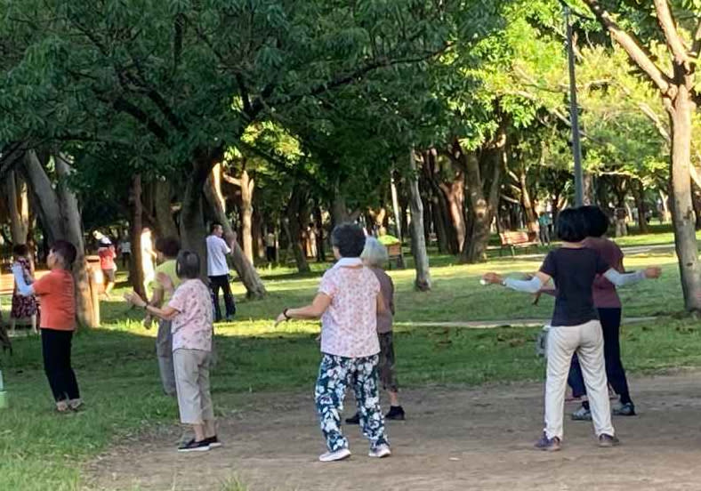 大安森林公園這座綠色森林，早上可以看到各式市民運動社群。陳美伶攝影