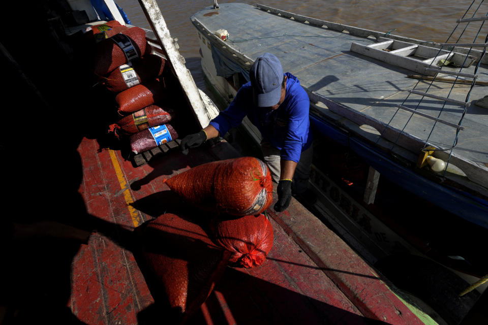 An employee carries red bags with acai fruits to be taken by passenger boats to the fairs in the capital, on Rio Marinheiro, in front of the Vila Progresso community, on the island of Brique, in the Bailique Archipelago, district of Macapa, state of Amapa, northern Brazil, Monday, Sept. 12, 2022. The changes in the region are also an increasing threat to the omnipresent acai palm trees. In many places, sea erosion is taking them. And in areas closer to the sea, the acai berries began to taste different. (AP Photo/Eraldo Peres)