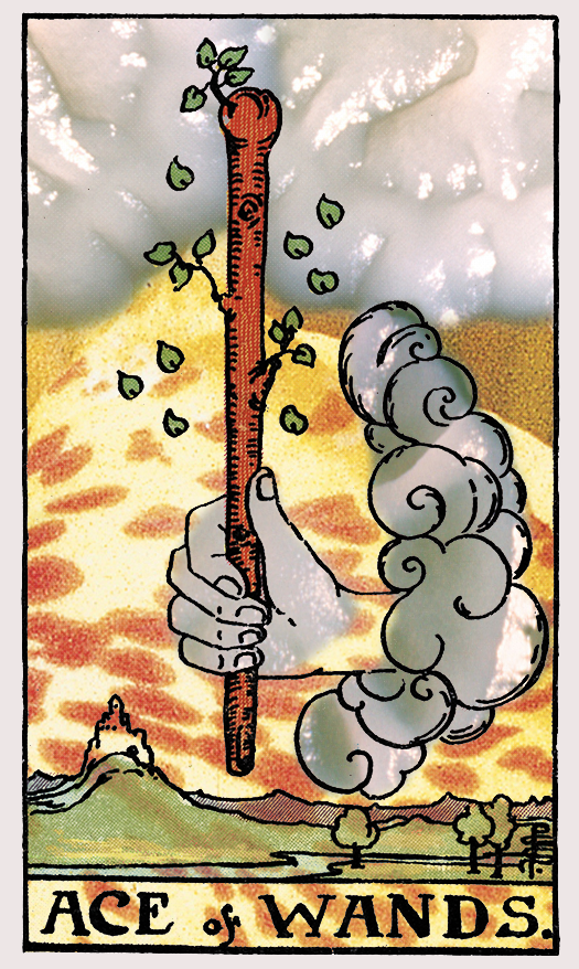 ace of wands