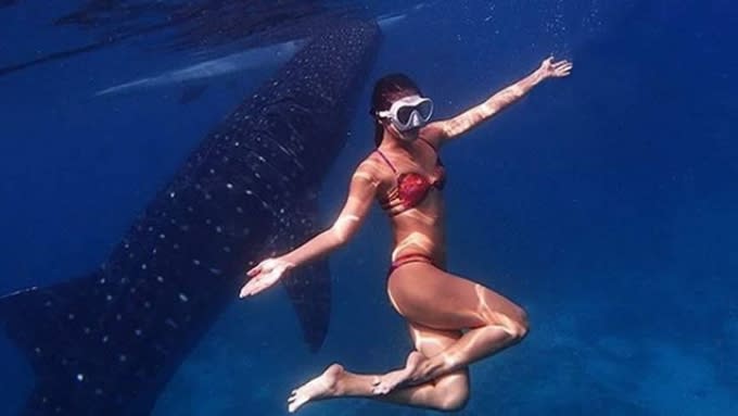 Miss Universe contestants came under fire after swimming with the whale sharks. Source: Instagram